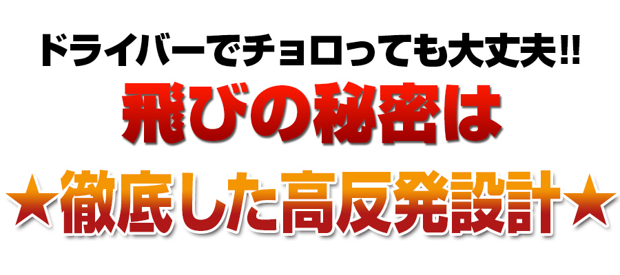フォーサイト ブラックプレミア｜ダイナゴルフ公式オンライン